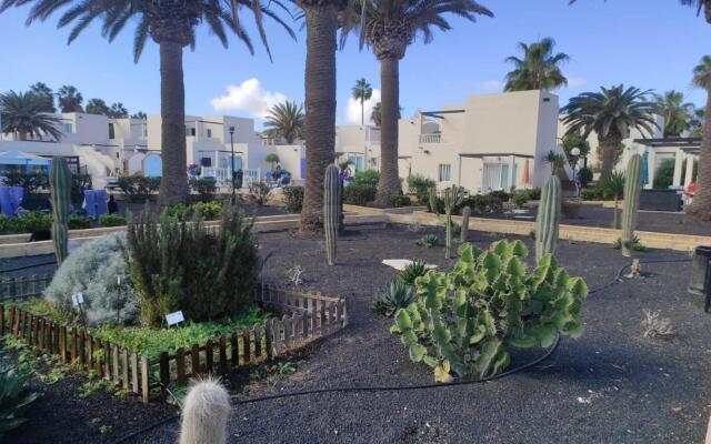 Home2Book Comfy Ohana Garden Corralejo, Pool