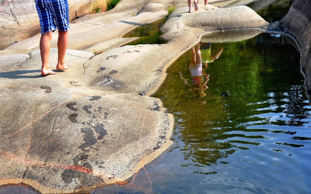 Гостевой комплекс Сосны