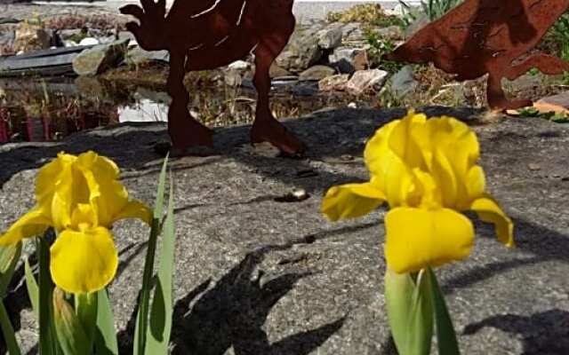 B & B Gästehaus Schmidt