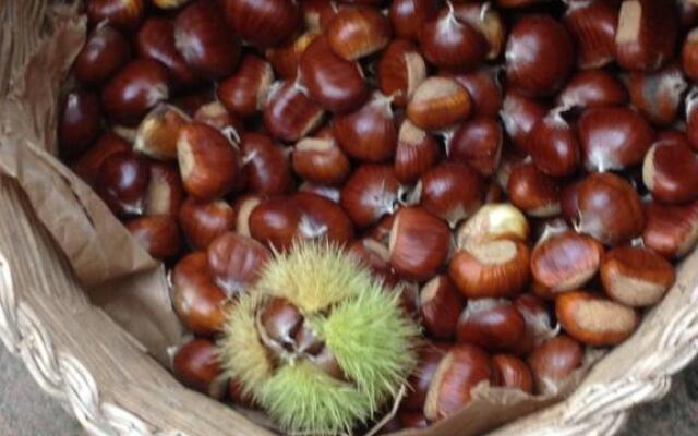 Casavacanze Ciaspole E Uva