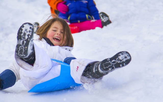 Résidence L'Orée du Bois