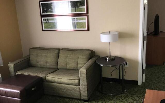 TownePlace Suites by Marriott Lexington South/Hamburg Place