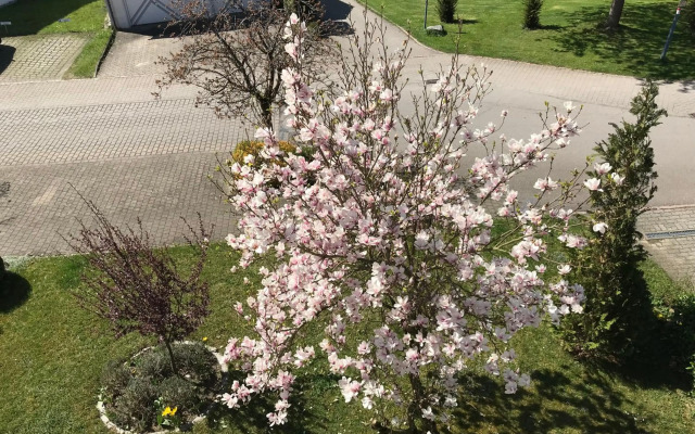 Residenz am Thermalbad