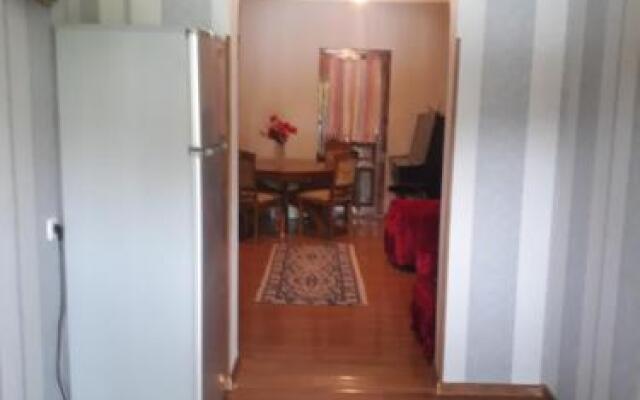 Guest House on Saakadze St. 36
