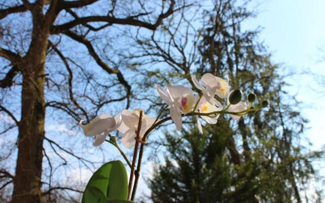 Suites Rive Gauche - MEZZANINE Barbizon Impressionnistes