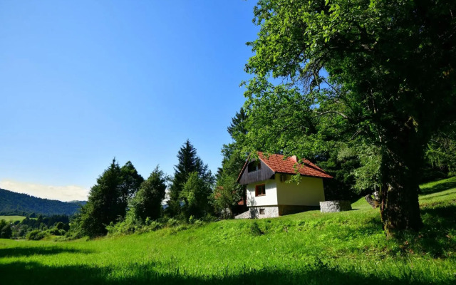 Sweet Stay Forest House