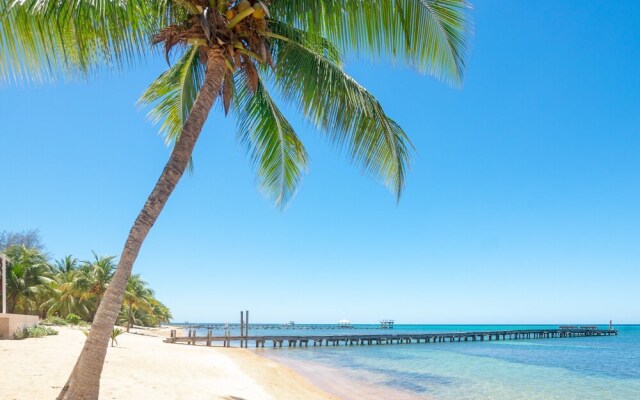 Casa Palmera 2 Bedroom Home by RedAwning