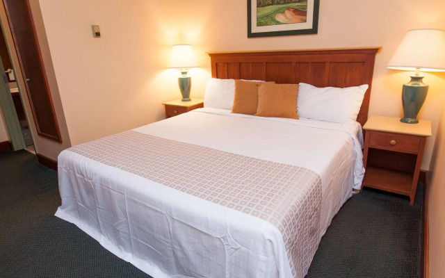 Rodd Brudenell River