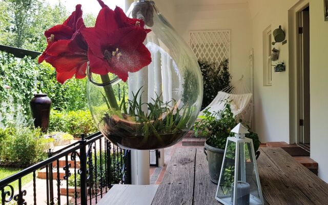 Villa Adalbert - Adults Only