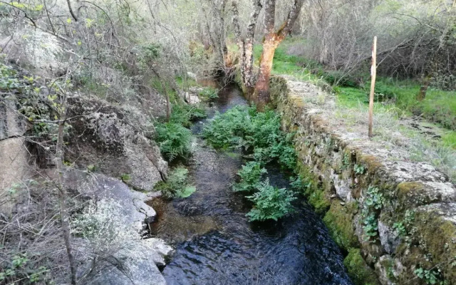 Monte da Fonte Santa de São Luís