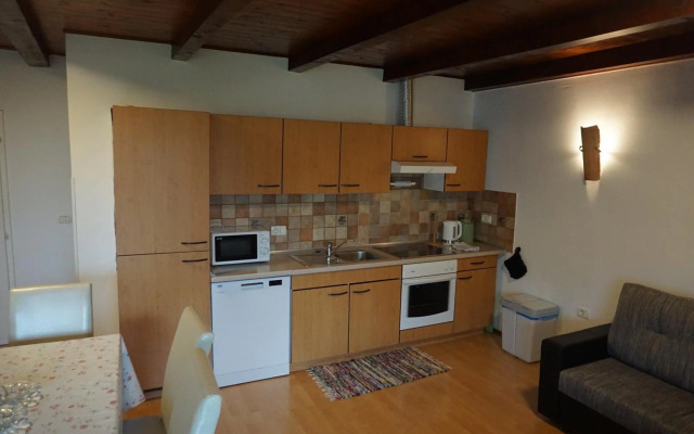 Apartment Pri Bricu