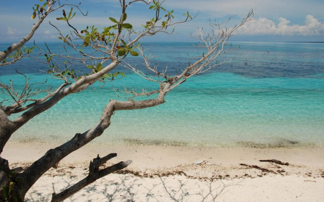 Malapascua Legend Water Sports & Resort