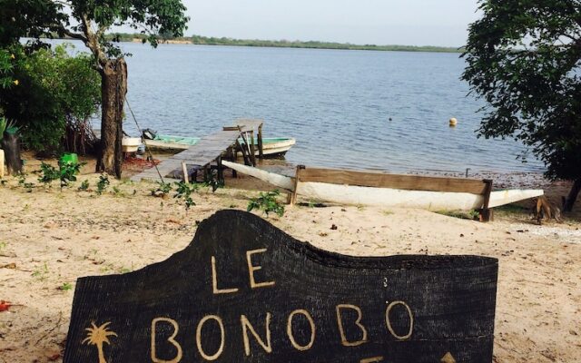 Bonobo Lodge