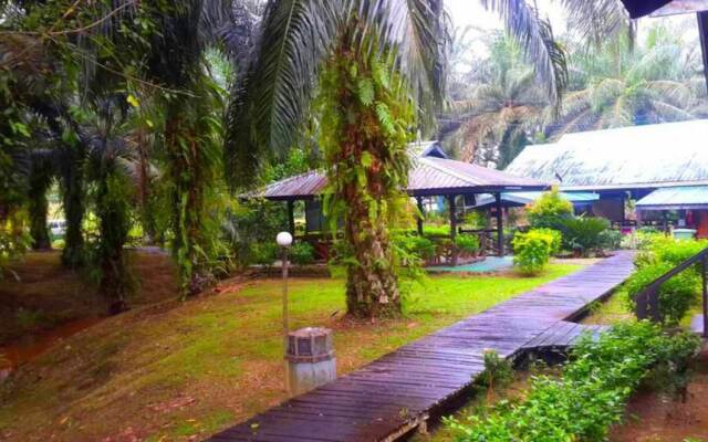 Sukau Backpackers B&B