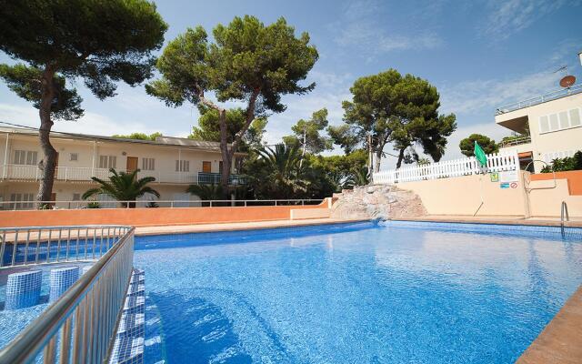 Отель Vibra Palma Cactus