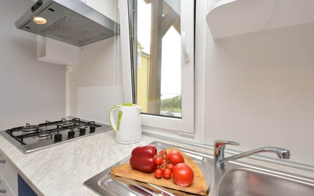 Iva - Great Garden - H