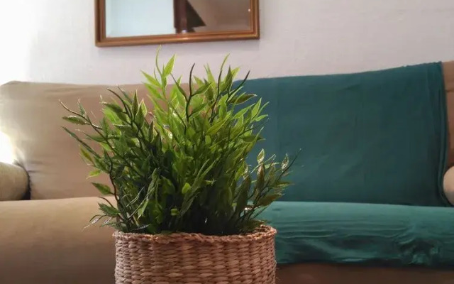 Oh Madrid Mayor Square