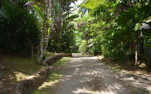 Colo I Suva Rainforest Eco Resort