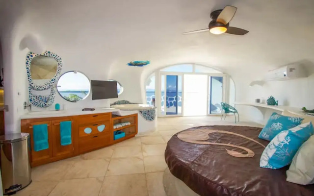 Alterhome Turtle Studio