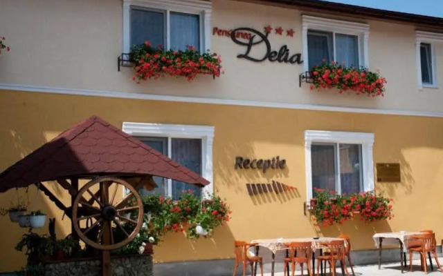 Pensiunea Delia