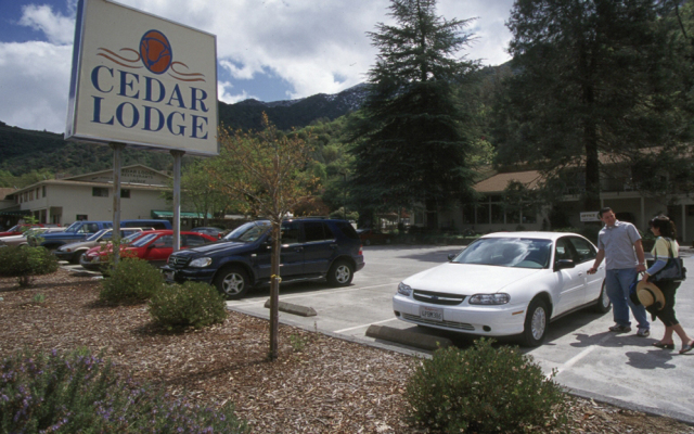 Cedar Lodge