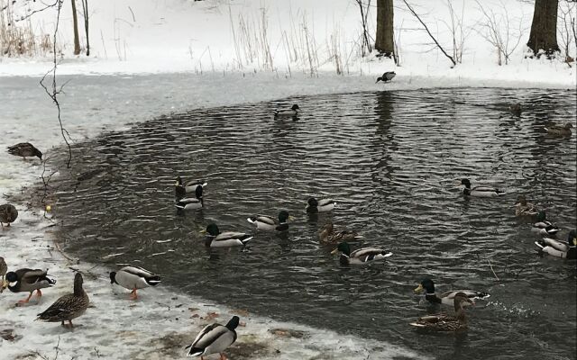 Parkschlösschen Lichtenstein