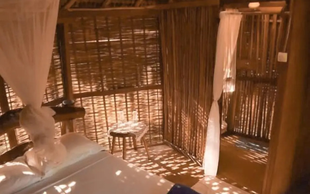 Art Jungle Eco Lodge