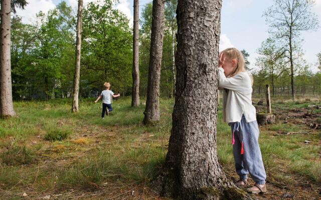 Veluwe Forest Villa With Comfort