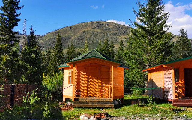 Зелёный колобок