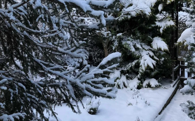 Holiday Home Near Harzgerode With Whirlpool