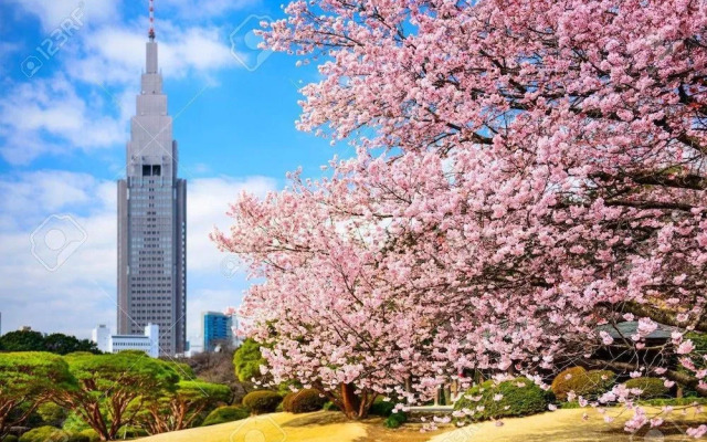 Hotel Blue Empire in Shinjuku