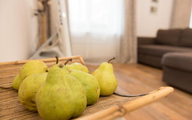 Apartaments PREMIUM on Alexander Nevsky str., 99/4