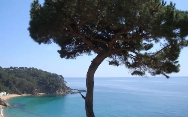 107070 House In Lloret De Mar