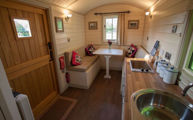 Dawn Chorus Holidays