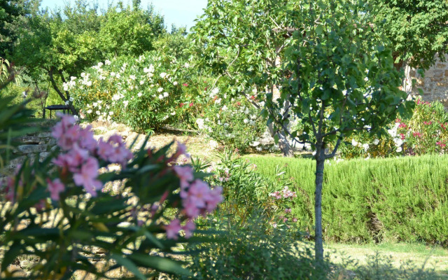 Podere Vignola