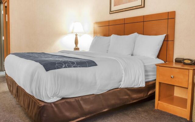 Comfort Suites University Las Cruces