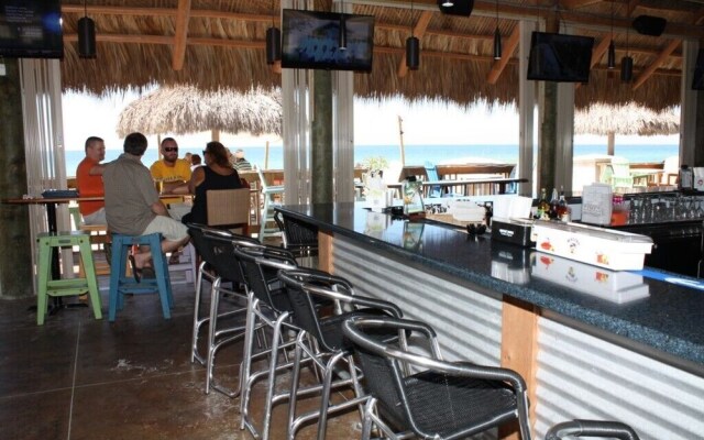 Anna Maria Island Beach Palms 7A