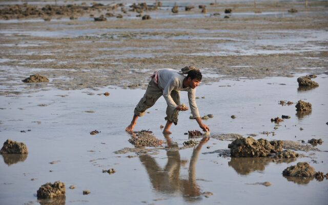 Melina's Beach Front Bungalow