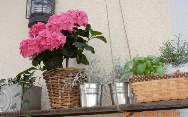 Guest House Parma