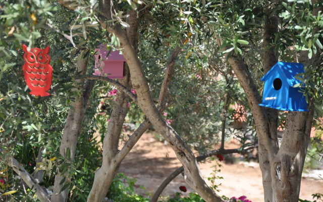 Lacivert Boutique Hotel
