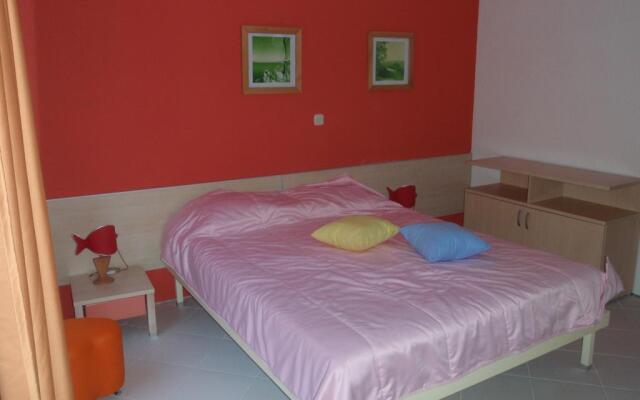 Bed & Breakfast Vila Mina