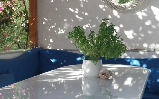 Doron Hotel Delfini