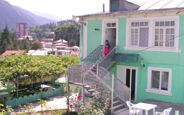 Guest House Borjomi on Pirosmani Street