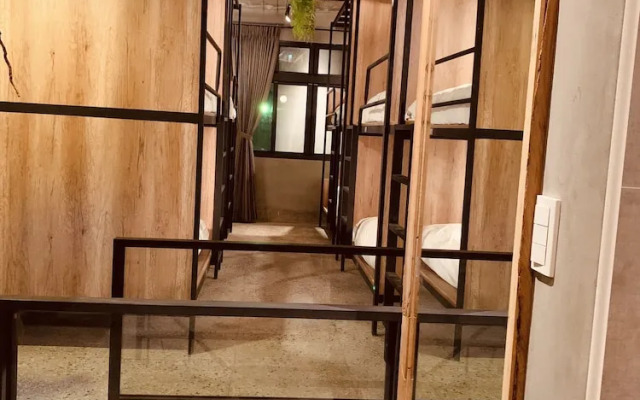 Yian Branch2 Backpacker lnn