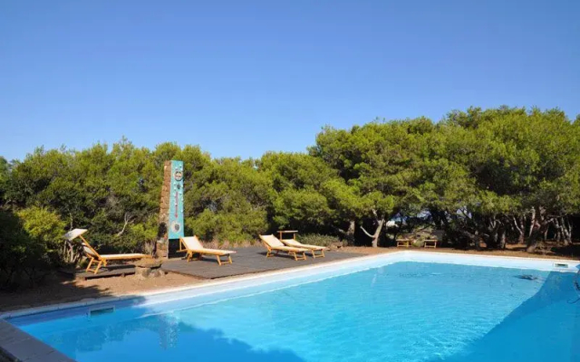 Euterpini - Dammuso Malva