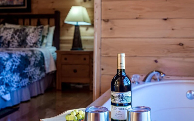 Bear Vista Retreat w HotTub Pool View