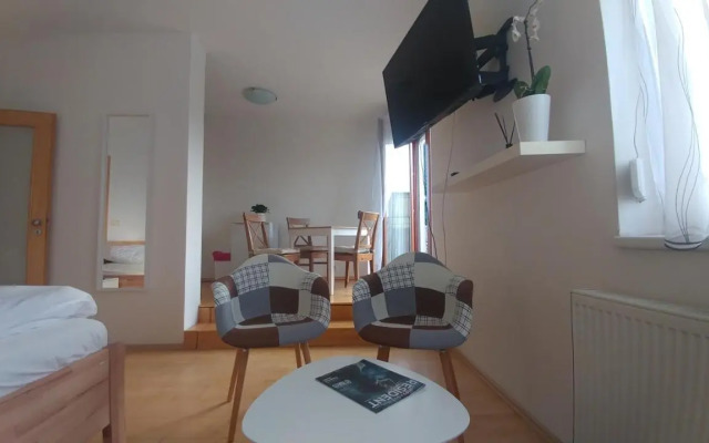 Vitkov Park Apartment