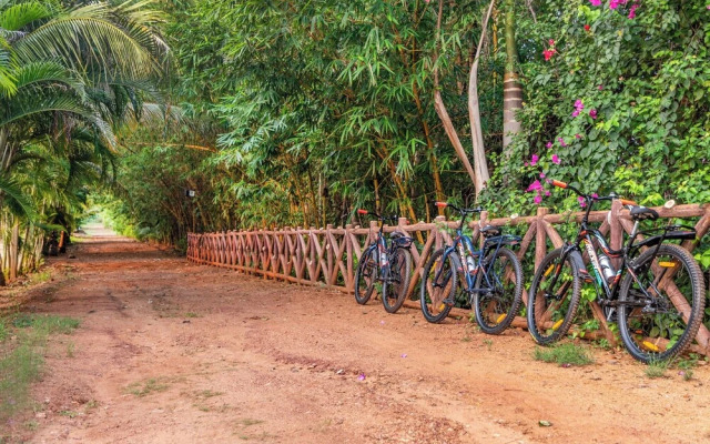 Sterling Banashree Badami