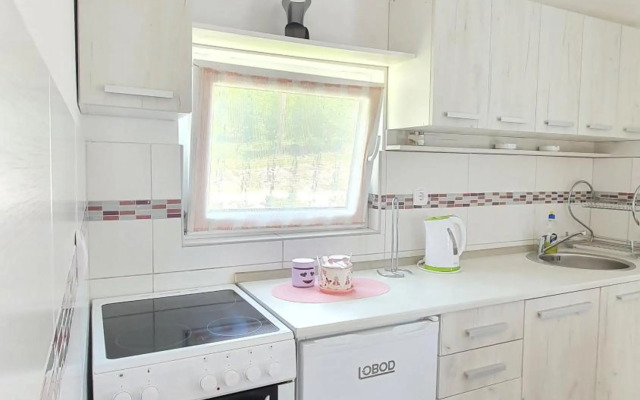 Apartment Jelena Sutvara