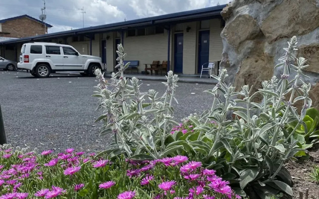 CBD Gi Motel